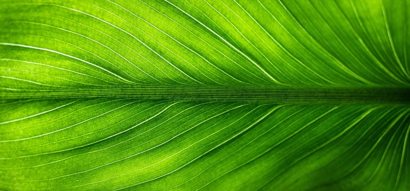 Eco-friendly accessories