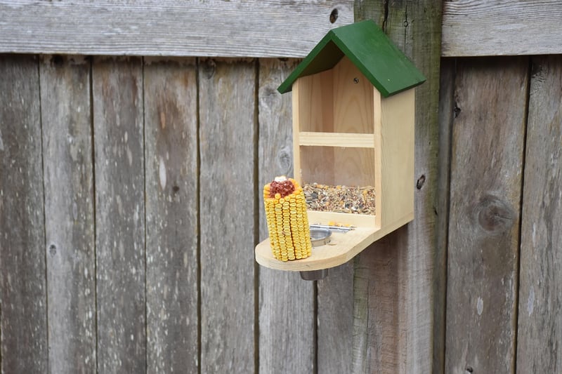 Plastic Bottle Bird Feeders